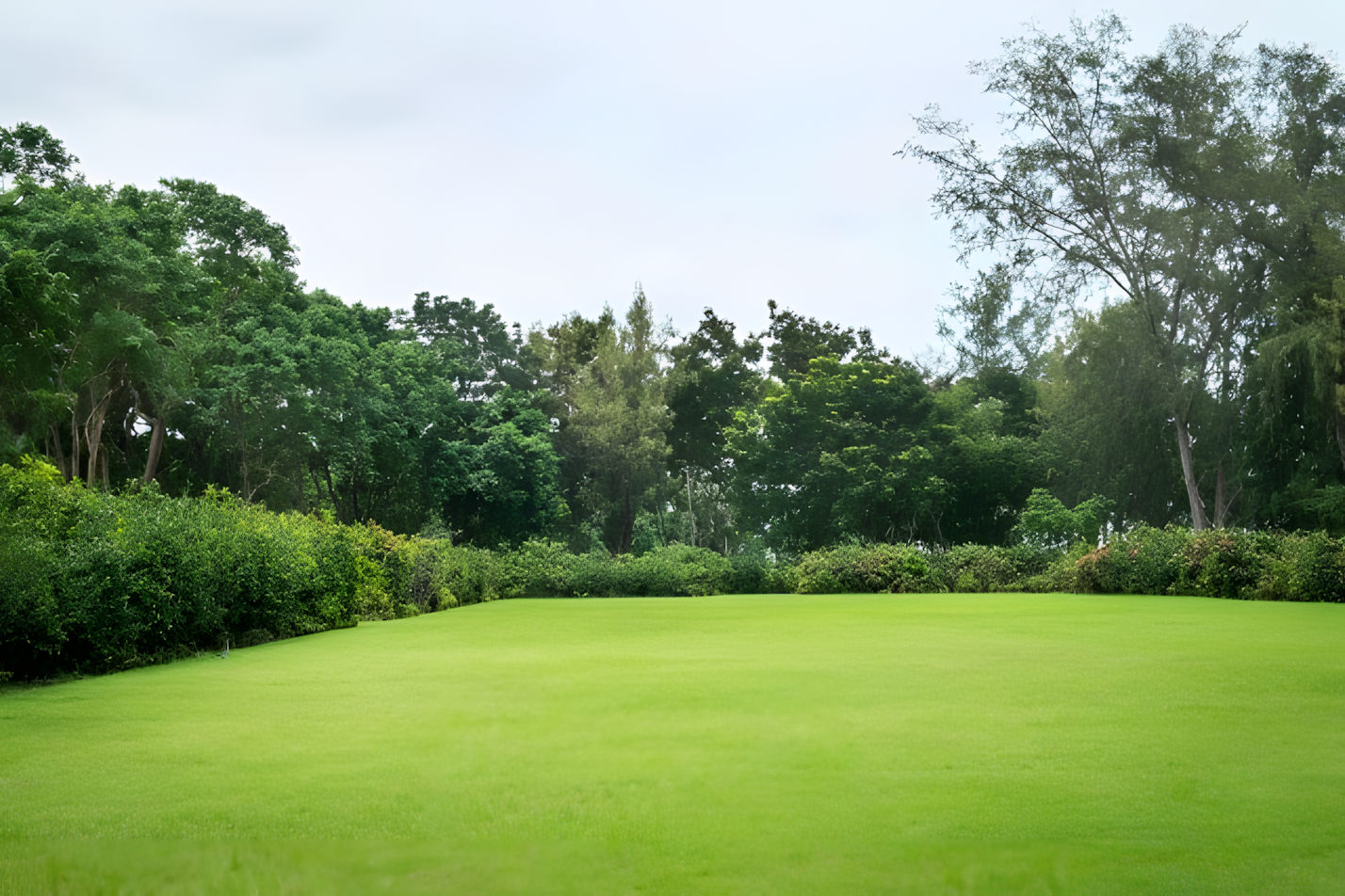 Házépítés menete - telek kiválasztása